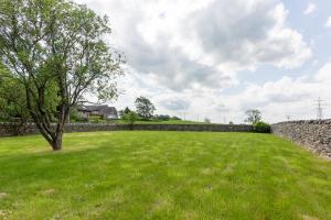 a field with a tree and a stone wall at The Studio at Cherry Tree in Natland +1 photo