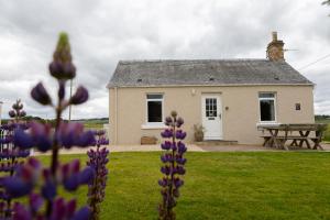 a house with a picnic table and purple flowers in front of it at Bachilton Farm Holidays in Perth