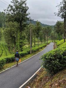 a man walking down a road with at Blue mount stay in Gūdalūr