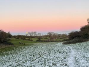 a group of people walking along a snow covered road at Pine Tree Cottage in Linslade