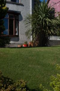 una casa con una palmera frente a un patio en 23 Hillsborough Road B&B en Dromore