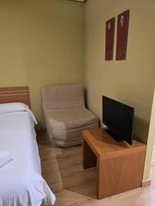 a bedroom with a bed and a tv and a chair at HOTEL EL ROBLE PALENTINO in Cervera de Pisuerga