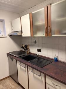 a kitchen with a sink and a counter top at Rodenbach 1 BR Apartment in Rodenbach