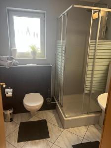 a bathroom with a shower and a toilet and a window at Ferienwohnung Pobershau in Pobershau +10 photos