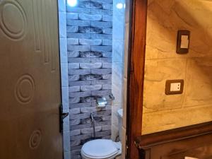 a bathroom with a toilet and a brick wall at Labib Guest house in Aswan