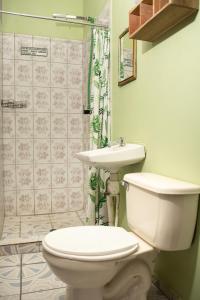a bathroom with a toilet and a sink at Habitación Confort Queen in Peña Blanca +32 photos
