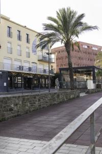 a palm tree in front of a building at Résidence la Grande Voile in Banyuls-sur-Mer