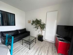 a living room with a black couch and a tv at Le Rockastel in Le Caylar