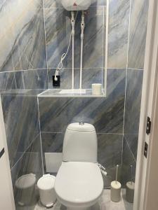 a bathroom with a white toilet in a room at Elegant Home Stepnoy in Karagandy
