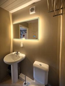 a bathroom with a sink and a toilet and a mirror at Yardley Manor Hotel in Torquay +66 photos