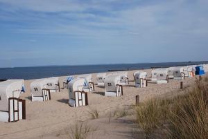 eine Reihe von Liegestühlen im Sand am Strand in der Unterkunft Seepark in Bansin