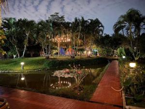 a pond in a park at night with lights at Chan Klong No8 Homestay - บ้านชานคลองหมายเลข8 in Sathani Wat Sing +20 photos