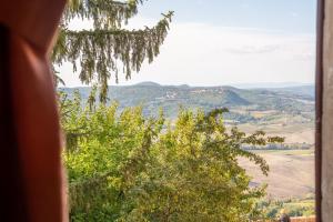 a view of a valley from a window with trees at Palazzo Danesi in Montepulciano +22 photos