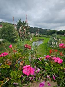 a garden with pink flowers and a pond at La Source in Villers-le-Lac