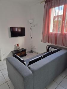 a living room with a couch and a television at Chambre Is in Is-sur-Tille