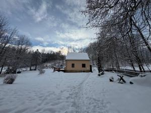 a small house in a snow covered field at Chata Anežka in Stará Ves