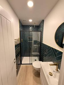 a bathroom with a shower and a toilet and a sink at Rambler's Rest Boutique Apartment in Westward Ho