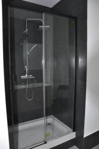 a shower with a glass door and a sink at Le moulin brûlé in Béthines