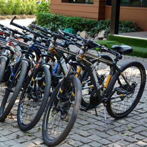 a row of bikes parked next to each other at The Grace Amphawa in Amphawa