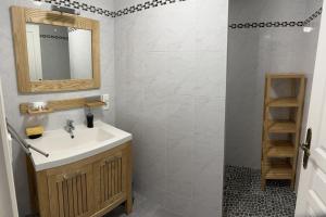 a bathroom with a sink and a mirror and a shower at Gîte des voines in Maillé +9 photos