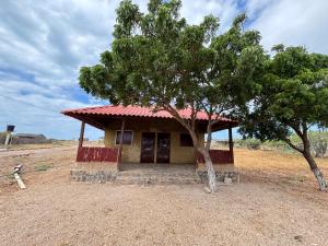 a small house with a red roof next to a tree at Refugio Pantu in Cabo de la Vela