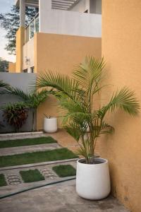 two potted plants sitting next to a building at Condominio hortencia in Viana
