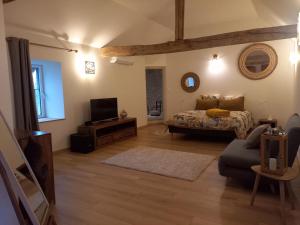 a large room with a bed and a tv at Domaine la jarrie in La Bussière
