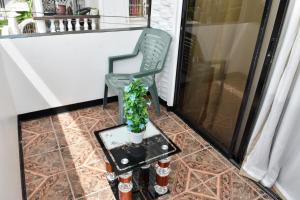 a chair and a table with a plant on it at Duncan Street Guesthouse in Georgetown