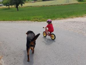 a little girl riding a bike next to a dog at Ferienhof Windegg in Stockach