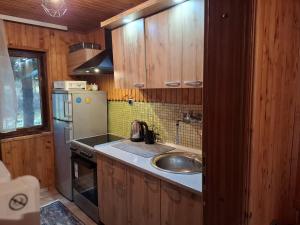 eine Küche mit Spüle und Kühlschrank in der Unterkunft Vila Bon in Tetovo