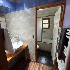 a bathroom with a sink and a mirror at Estero El Claro Hotel y Cabañas in Pucón +18 photos