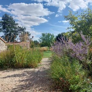 a path through a garden with purple flowers at Émeraude in Voulême