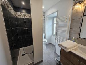 a bathroom with a shower and a toilet at Le logis in Mairé +14 photos