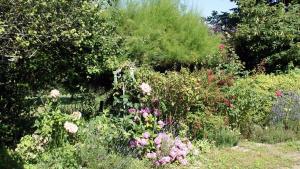a garden filled with lots of flowers and trees at La boulitte in Asnois