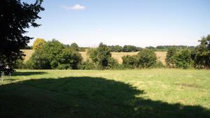 a large field with trees and a large shadow at La boulitte in Asnois +2 photos