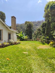 an empty yard in front of a house at Kitanda Msituni in Meru