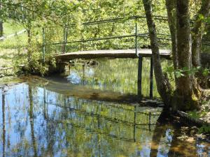 a bridge over a river with trees and water at La forge de louis in Saint-Macoux +5 photos