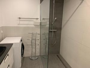 a shower with a glass door in a bathroom at Ferienwohnung Gründlinger in Weilersbach