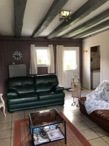 a living room with a green couch and a coffee table at Le ry de pouzioux in Chauvigny