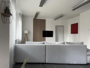 a living room with a white couch and a tv at Appartement Atelier in Le Noirmont