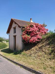a small house with a bush of pink flowers at Le grenier d'alice in Thurageau +6 photos