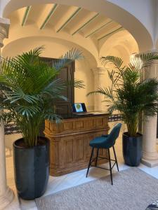 a room with two potted plants and a desk at De Domínguez Hotel Boutique in Seville