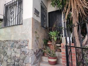 a group of potted plants on the side of a house at Vizcaino Departamento con cocina in Ensenada +8 photos