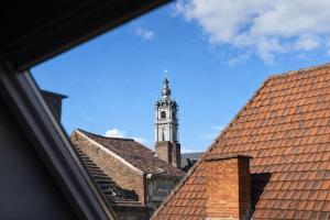 a view of a clock tower from a roof at Mons Dragon House in Mons
