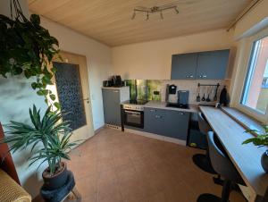 a kitchen with blue cabinets and a table and a plant at Appartement Sonnenschein in Böhl-Iggelheim