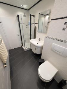 a bathroom with a toilet and a sink at Appartement Sonnenschein in Böhl-Iggelheim