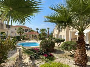 a palm tree and a swimming pool in a yard at Tala Rivera Paradise in Tala