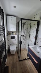 a bathroom with a shower and a toilet and a sink at Domek na Ogrodowej in Tylicz +6 photos