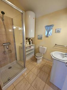 a bathroom with a shower and a toilet and a sink at Gîte de la vacherie in Port de Salles +13 photos