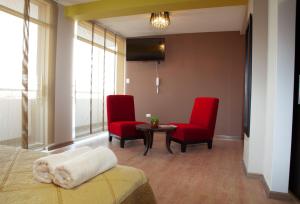 Posezení v ubytování Plaza Sur Hotel & Suites
